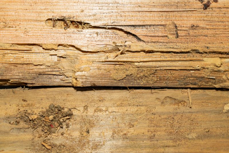 Wood Rot And Moisture Damage In Outdoor Structures
